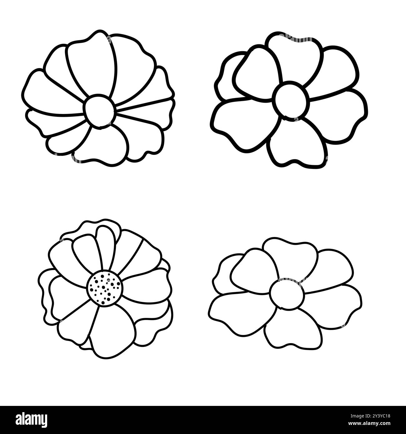 Collection of daisy flowers, Vintage botany with black brush icon, Hand ...