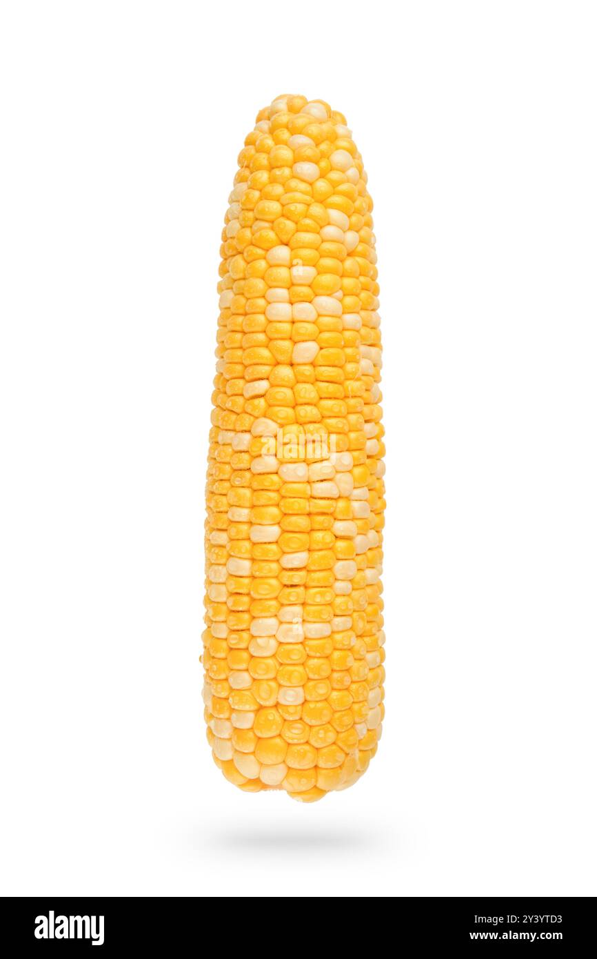Sweet corn cob isolated on white background with clipping path. Fresh corncob. Design element. Stock Photo