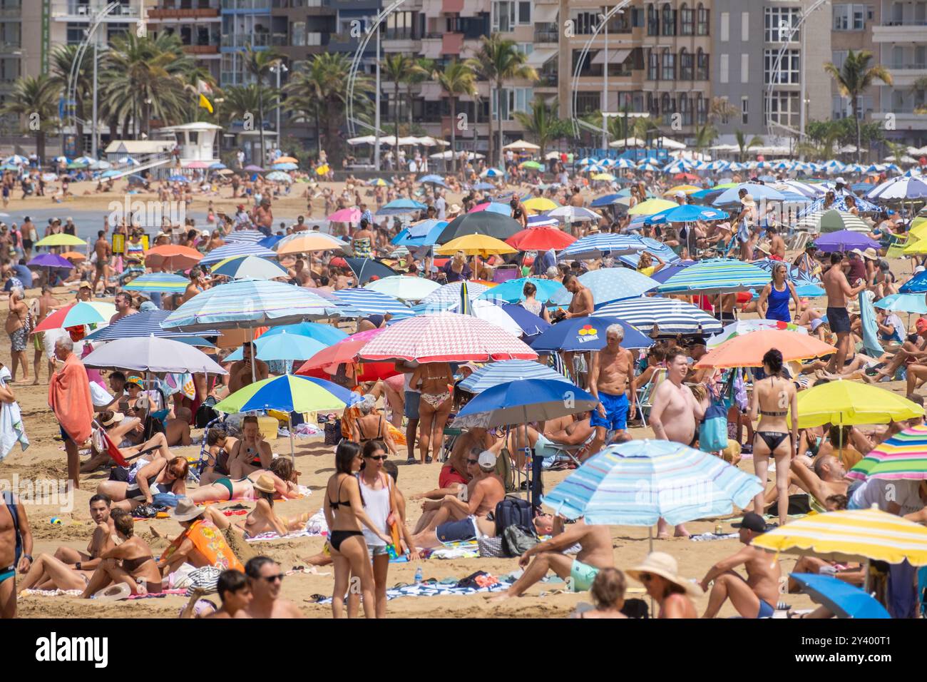 Gran Canaria, Canary Islands, Spain, 15th September 2024. British and German tourist join locals trying to keep cool on a packed city beach in Las Palmas on a swelterning day on Gran Canaria. Credit: Alan Dawson/Alamy Live News. Stock Photo