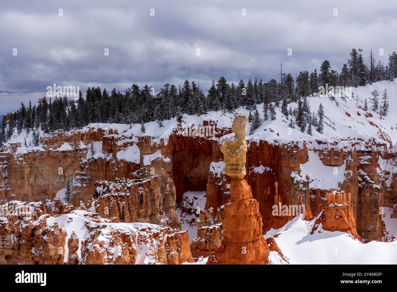 The Rabbit rock formation after fresh snow in Agua Canyon in Bryce ...