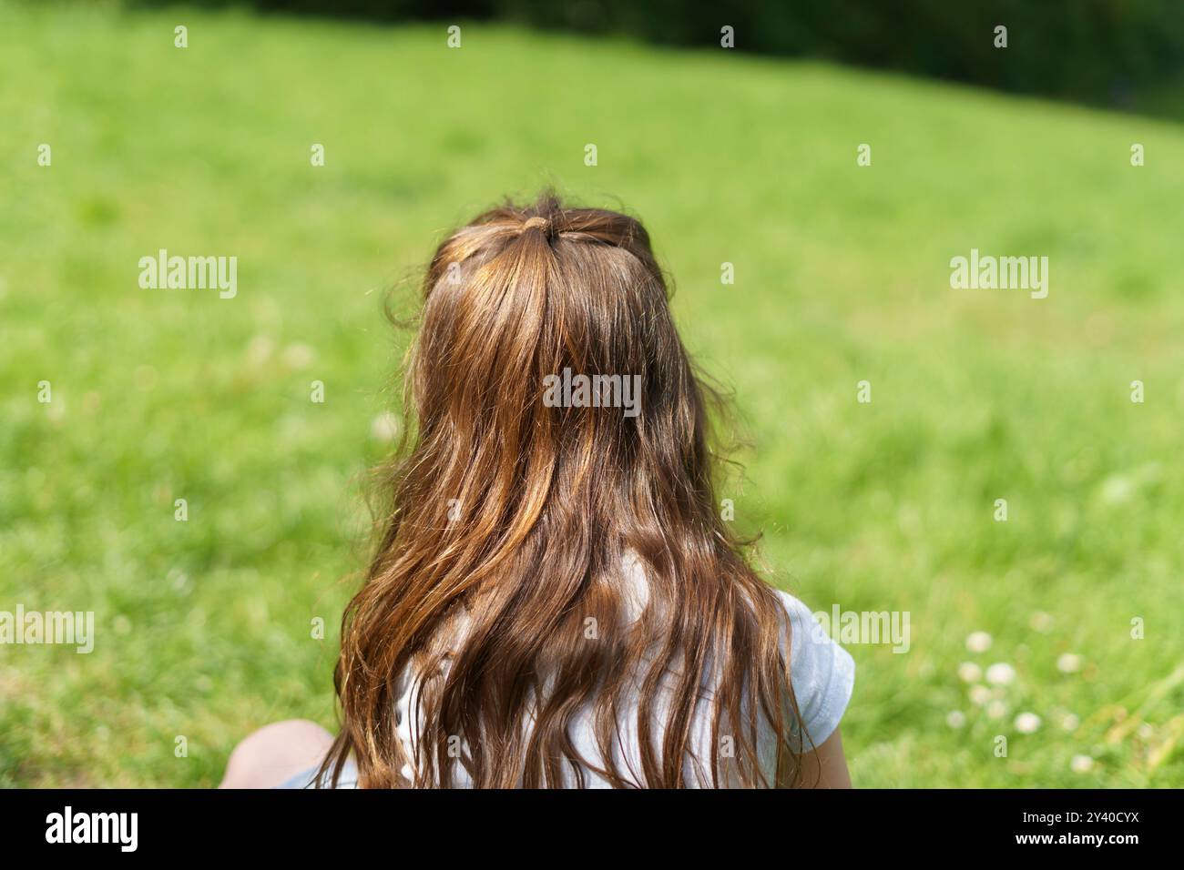 Little girl with brown hair sitting on the grass with her back to the ...