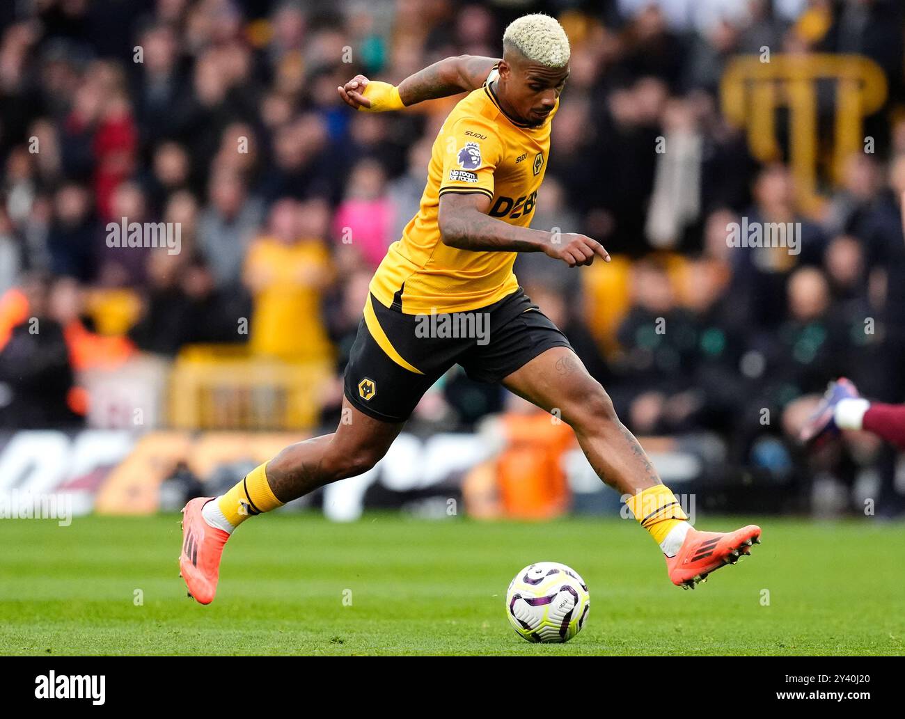 Wolverhampton Wanderers' Mario Lemina in action during the Premier ...