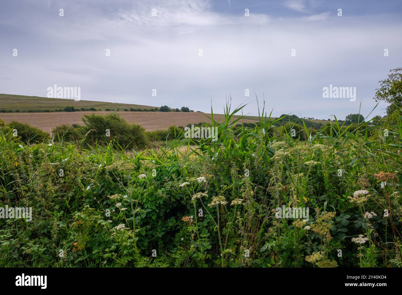 View across fields at Southease, near Lewes, East Sussex Stock Photo ...