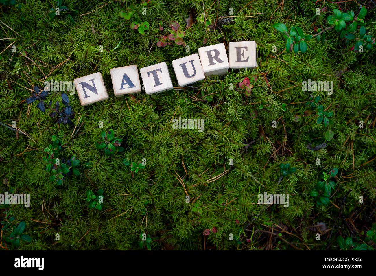 Un climate change conference november 2024 hires stock photography and
