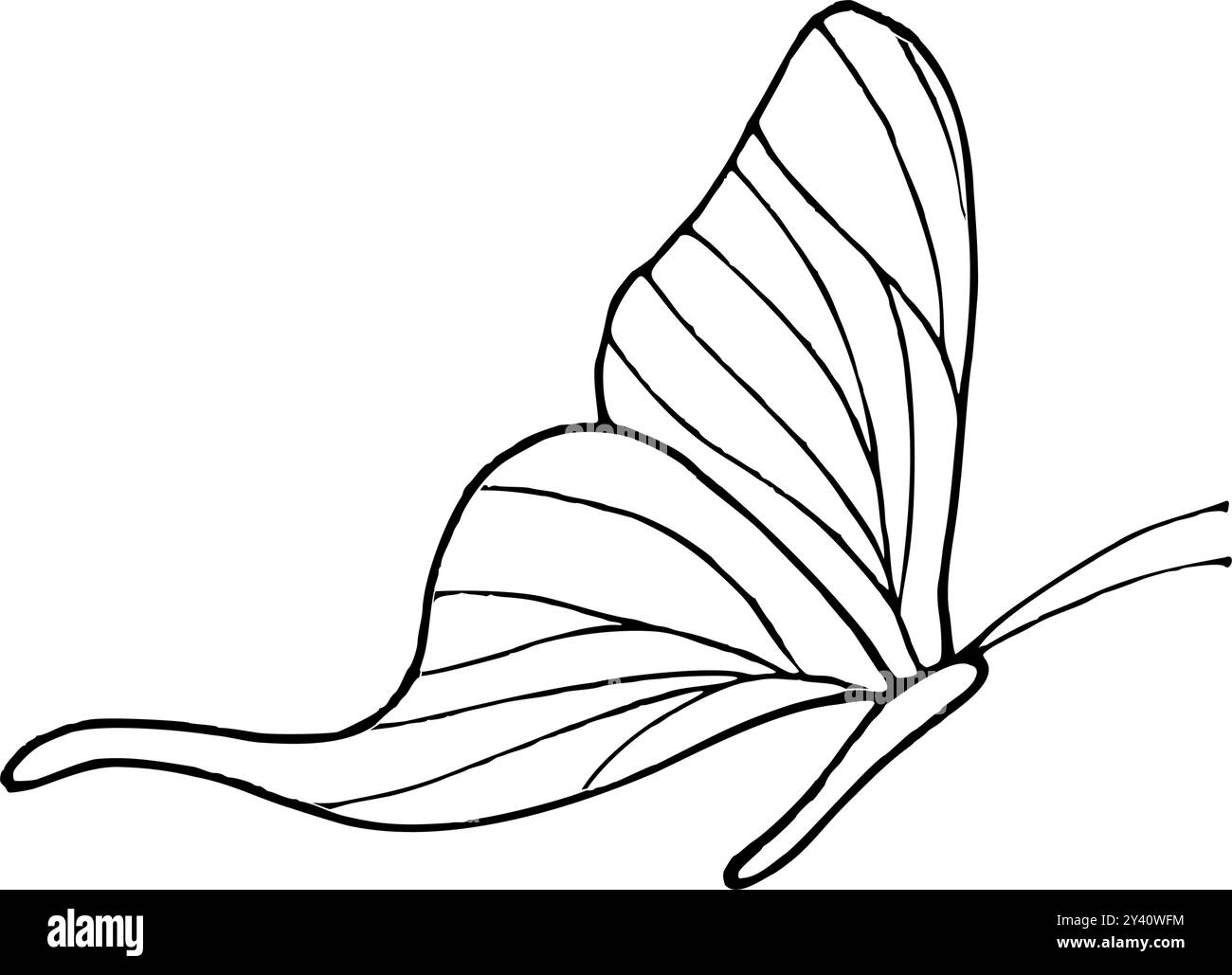 Flying monochrome butterfly vector isolated illustration. Abstract fluttering tropical animal hand drawn sketch painted by black inks. Stock Vector