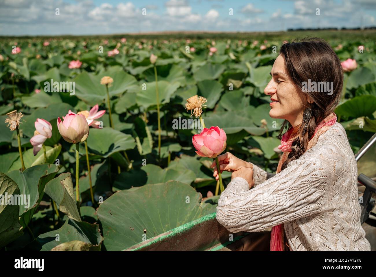 A woman is sitting in a boat in a field of pink lotus flowers/ Stock Photo