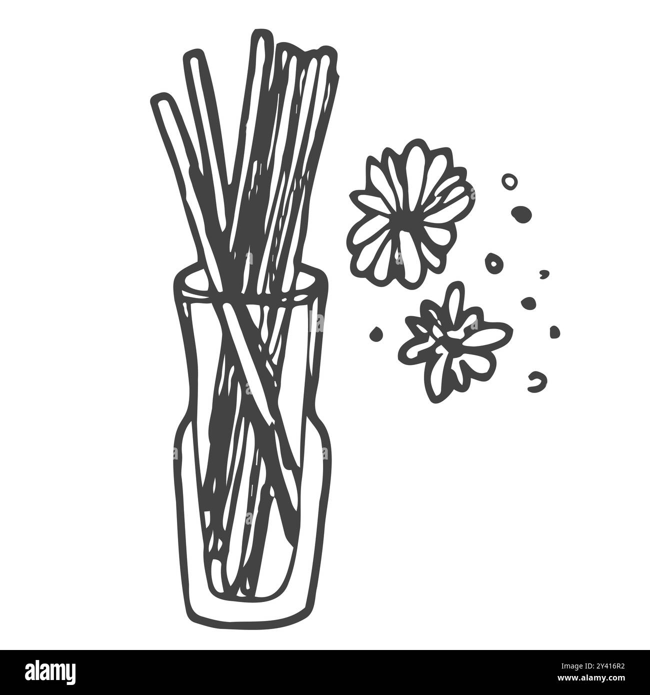 Aroma reed diffuser doodle illustration in vector. Hand drawn aroma reed diffuser in vector Stock Vector