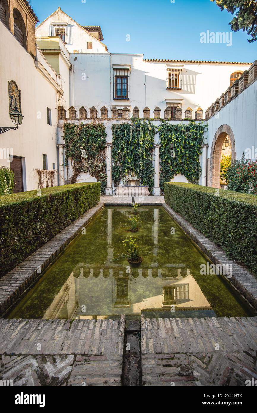 Levies patio with fountain and plants on the walls in Real Alcazar of Seville Spain Stock Photo Alamy