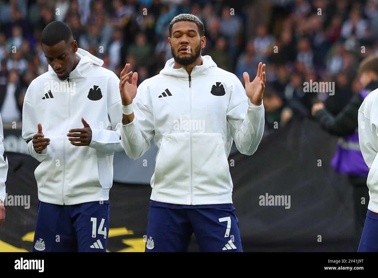 Joelinton #7 of Newcastle United during the game Stock Photo - Alamy