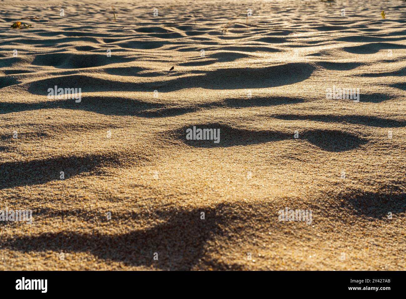Sunlit sand dunes create intricate shadow patterns on the beach. Stock Photo