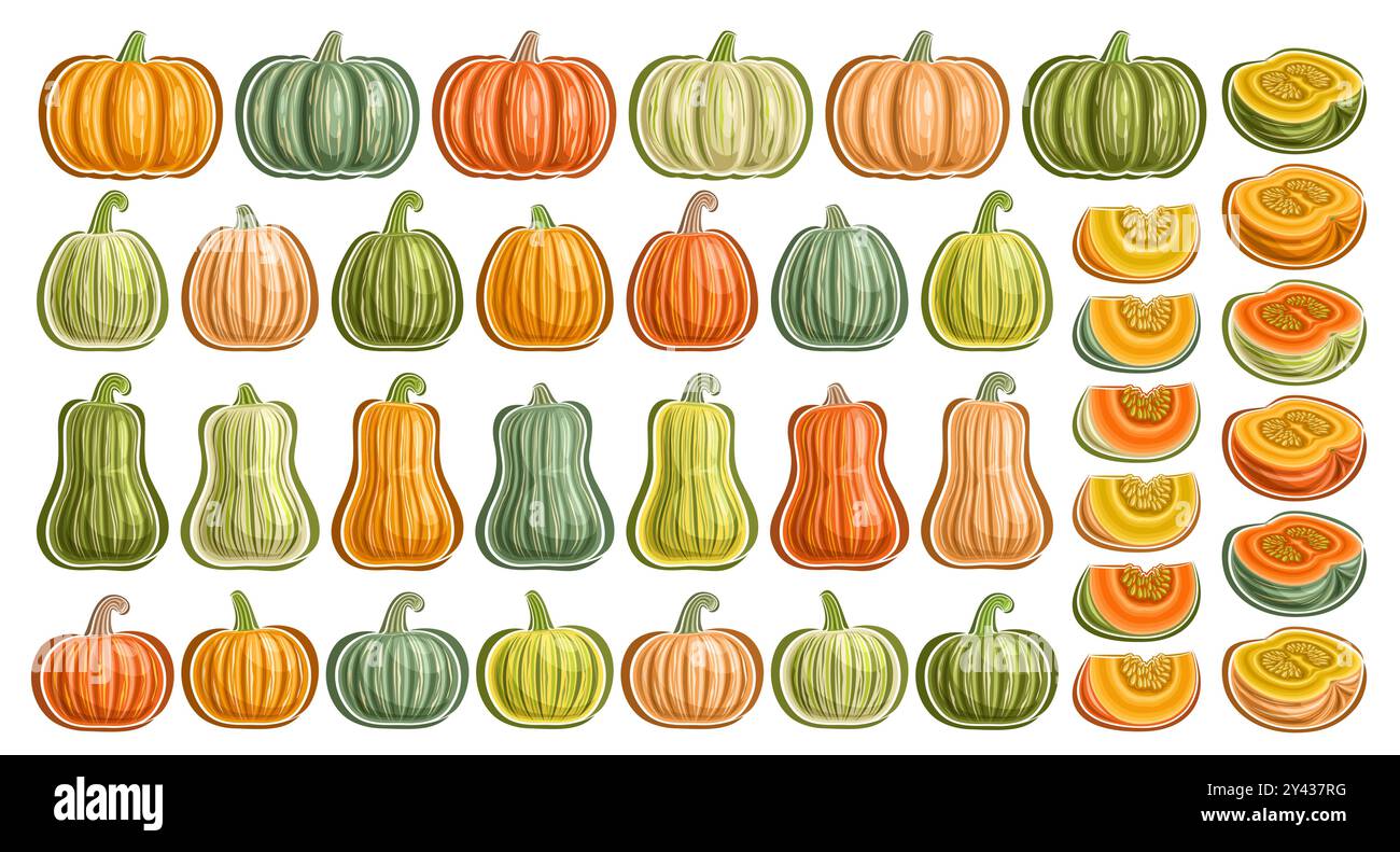 Vector Pumpkins and Kabocha Set, collection of cut out outline illustrations many different pumpkins, group of various cartoon design whole and choppe Stock Vector