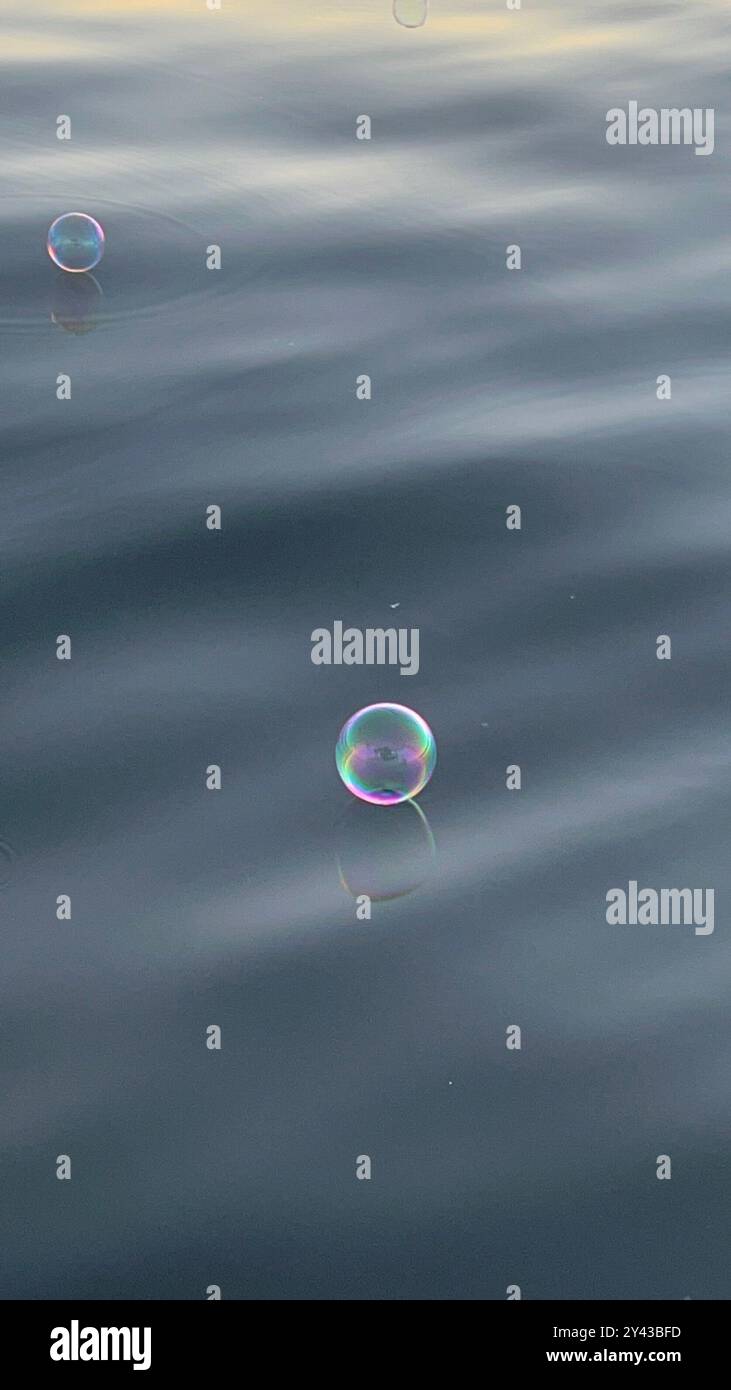SOAP BUBBLES ON WATER Stock Photo