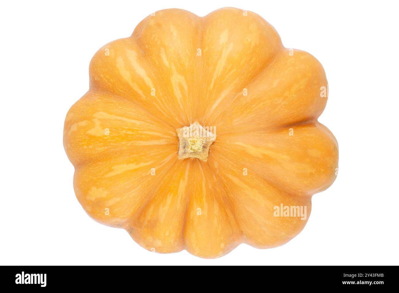whole orange pumpkin isolated on white background Stock Photo - Alamy