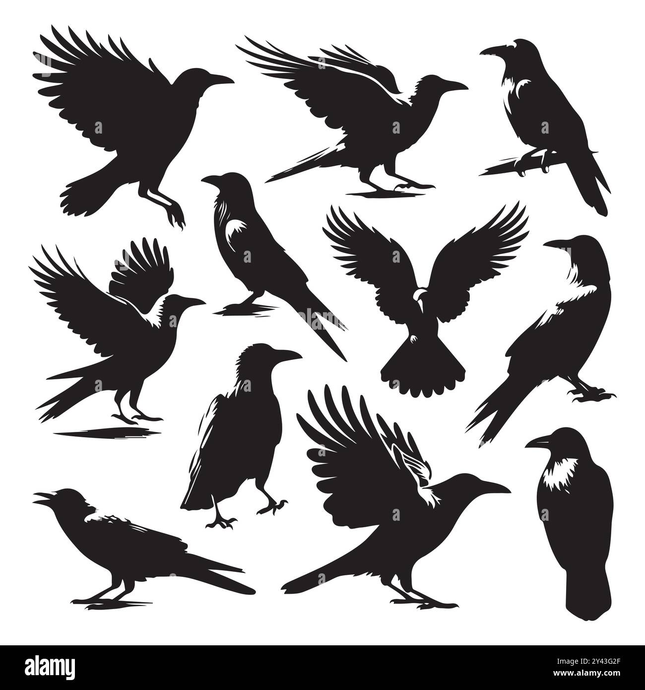 Crow silhouette icon hi-res stock photography and images - Alamy