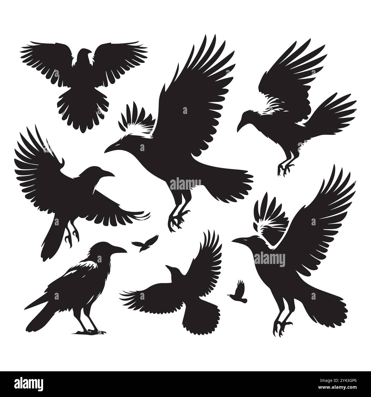 Set of crow silhouette vector on a white background Stock Vector Image