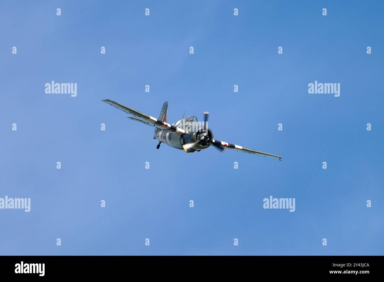 Grumman Wildcat (Martlet) performs at the IWM Duxford Battle of Britain Air show 2024 Stock Photo