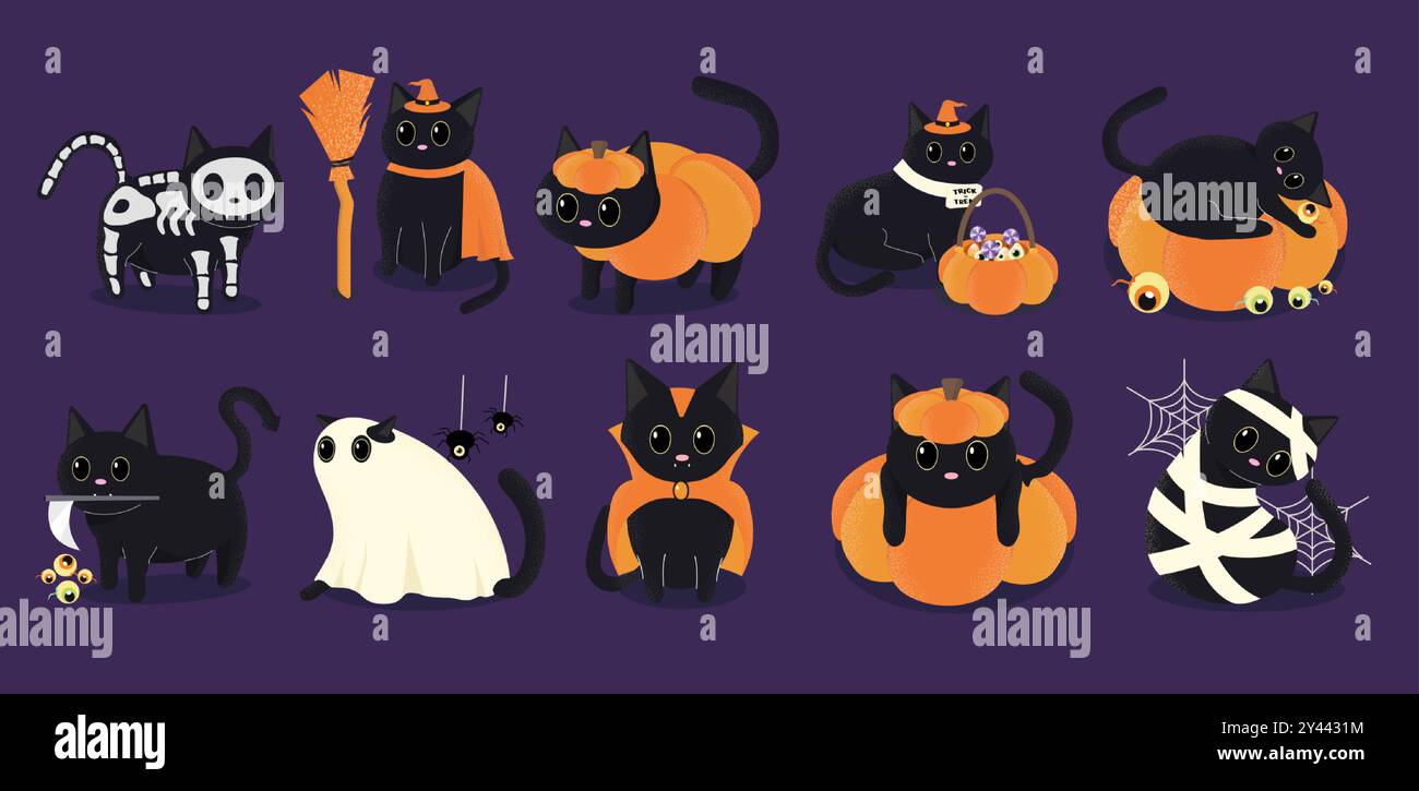 Cute Black Cats in Halloween Costumes with Pumpkins and Spooky ...