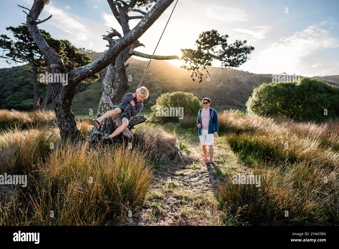 Father pushing child on rope swing on sunny evening Stock Photo - Alamy