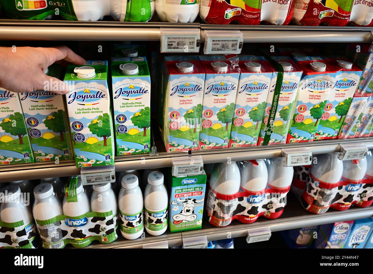 Pasture milk in a grocery store Stock Photo