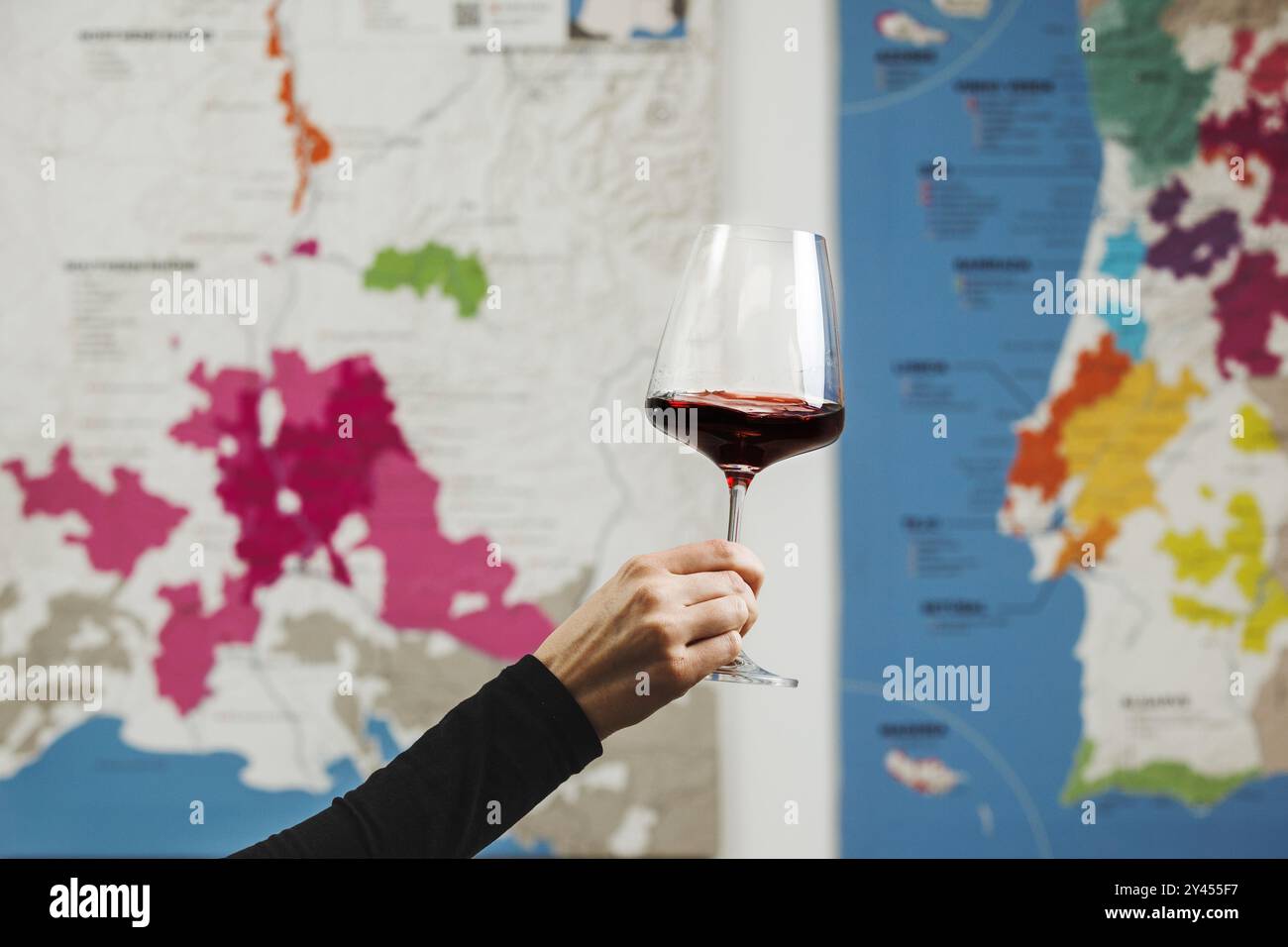 Female Hand Holding Glass of Red Wine in Front of Colorful Wine Map ...