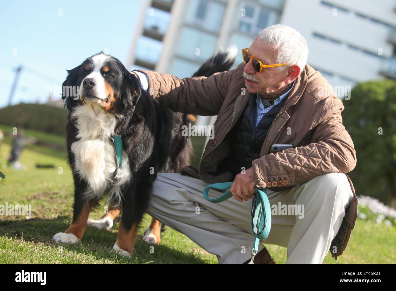 portrait of a senior man bonding with his dog outdoors Stock Photo - Alamy