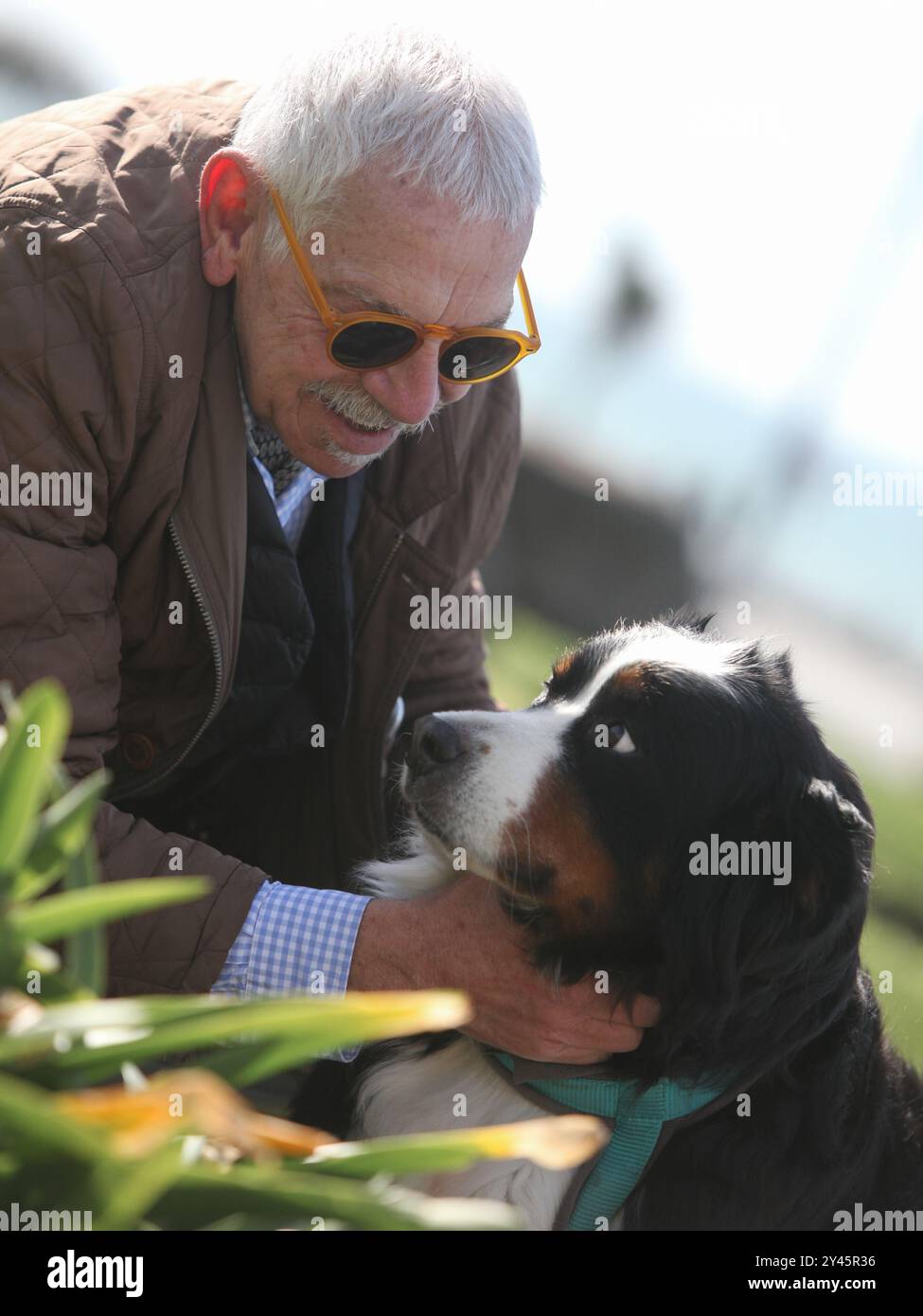 portrait of a senior man bonding with his dog outdoors Stock Photo - Alamy