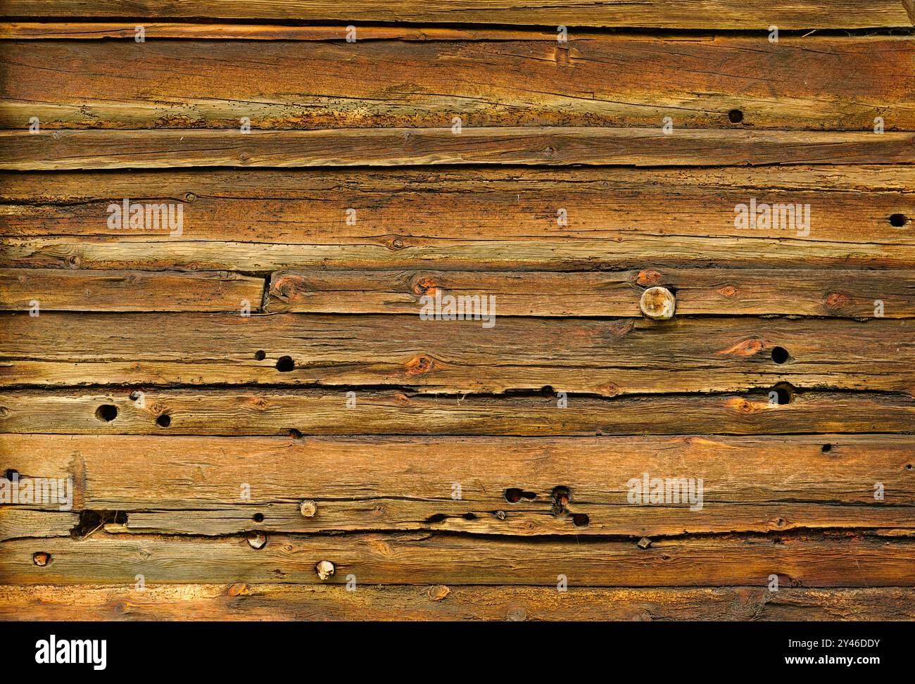 A richly textured wooden wall displays unique grains, knots, and small ... - Unique Textured Wooden Pieces