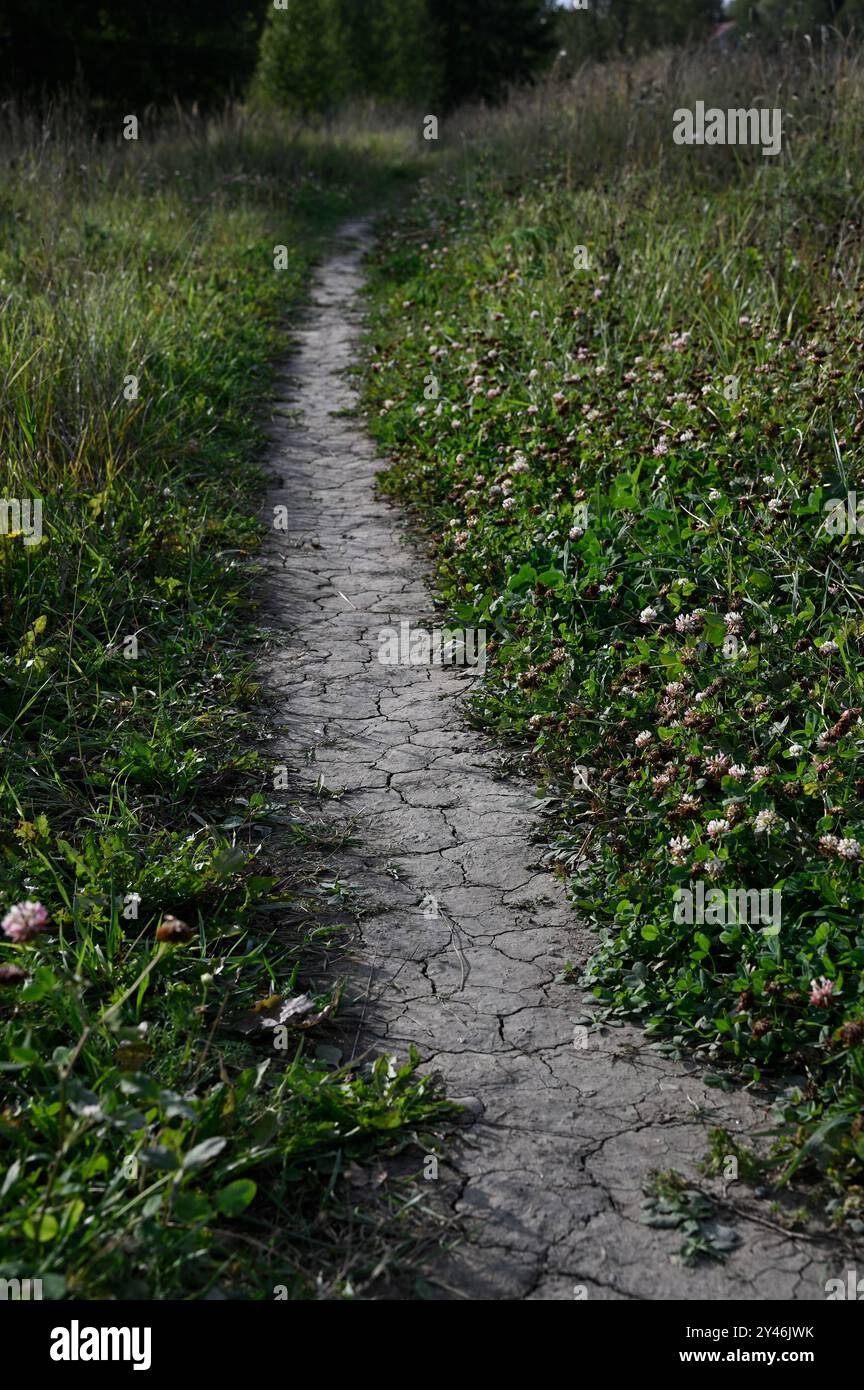 The image captures a narrow, cracked dirt path winding through a lush, green meadow. The path appears dry and uneven, contrasting with the surrounding Stock Photo