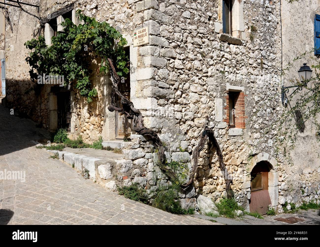 Old house entwined with grape vine in the village of Mons, Provence-Alpes-Côte d'Azur, France Stock Photo
