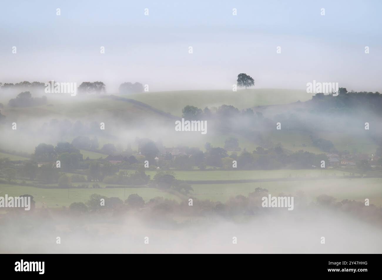 A heavy early morning dawn mist on the Somerset Levels, as seen from Deer leap, Mendip hills, Somerset, UK with trees just starting to break through Stock Photo