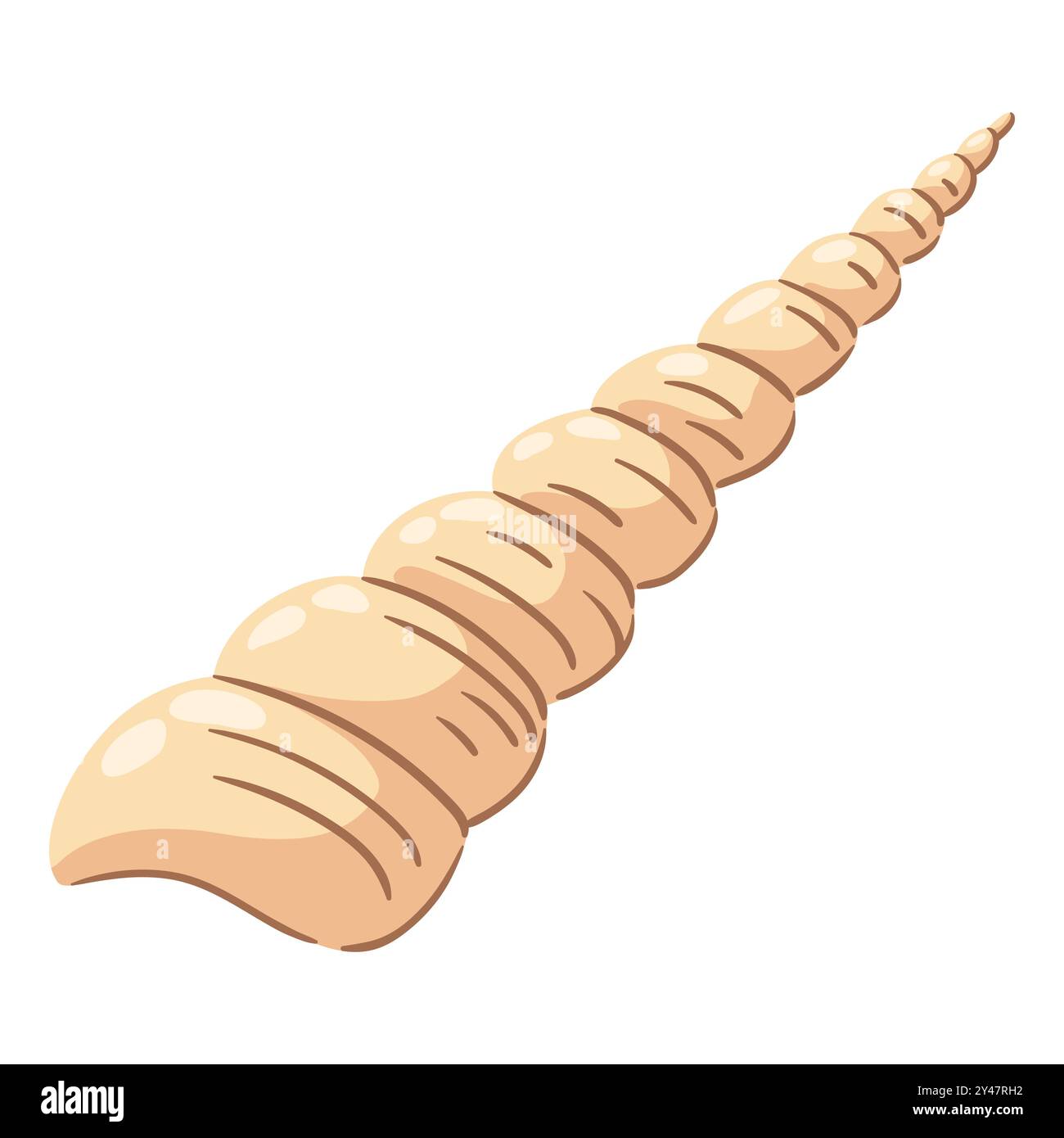 Illustration of seashell. Tropical underwater mollusk shell Stock ...
