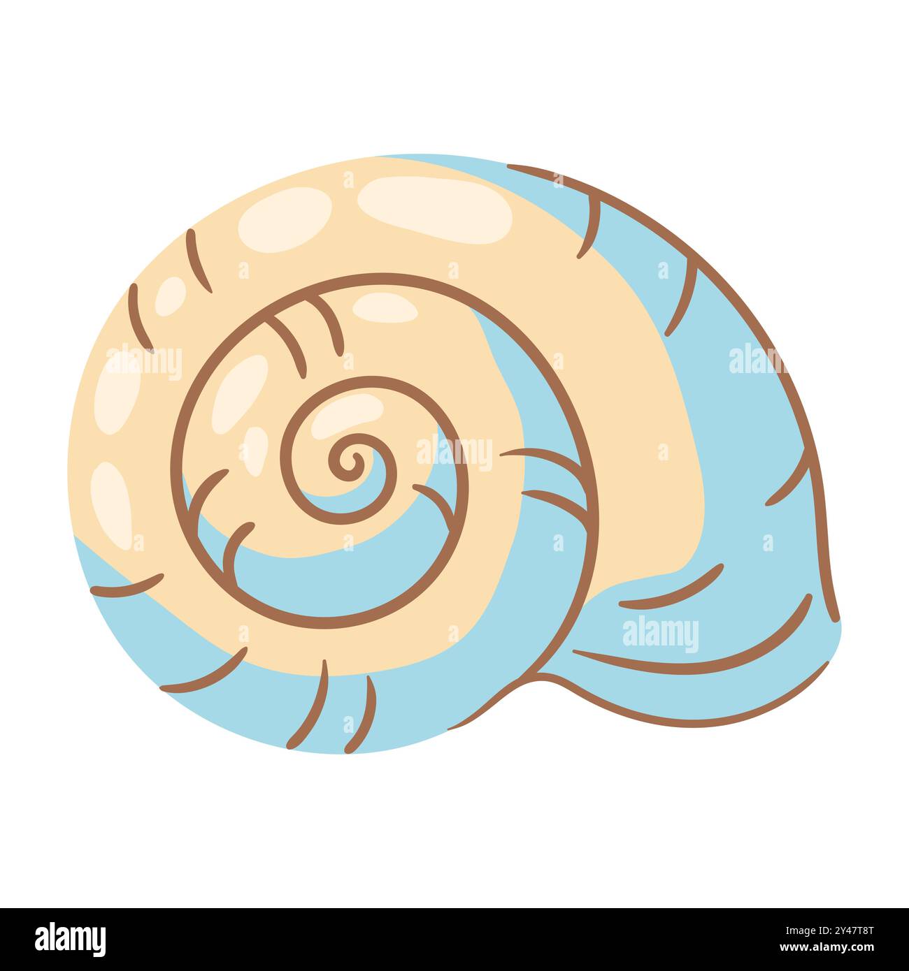 Illustration of seashell. Tropical underwater mollusk shell Stock ...
