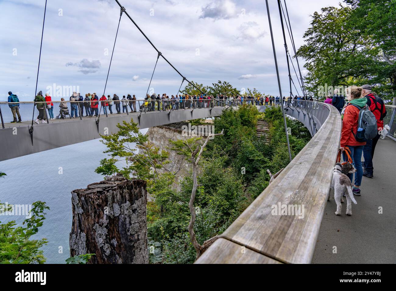 The Skywalk Königsstuhl on the chalk cliffs of Rügen, viewing platform ...
