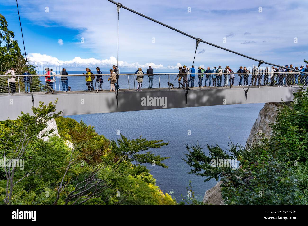 The Skywalk Königsstuhl on the chalk cliffs of Rügen, viewing platform ...