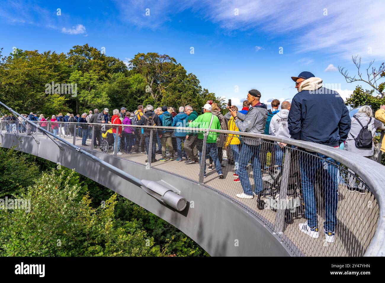 The Skywalk Königsstuhl on the chalk cliffs of Rügen, viewing platform ...