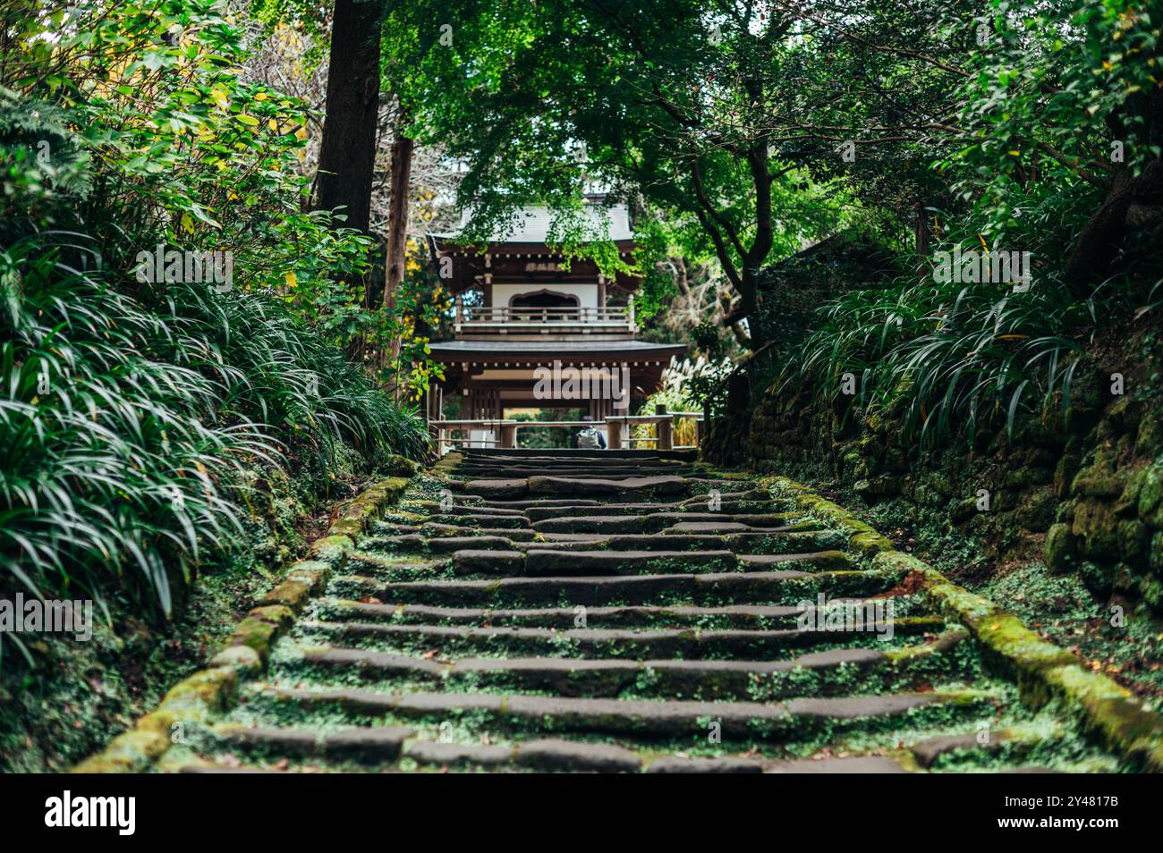 Serene stone staircase surrounded by greenery, leading to a traditional ...
