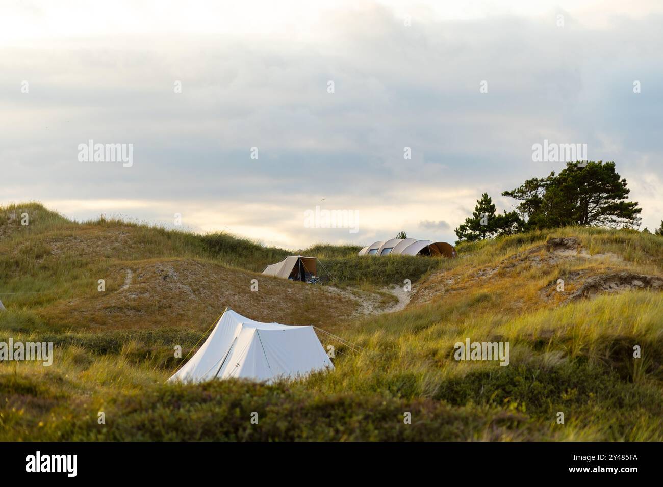 A peaceful campsite is set up among grassy dunes as the sun begins to set. Tents are positioned on a winding trail, surrounded by lush vegetation and Stock Photo