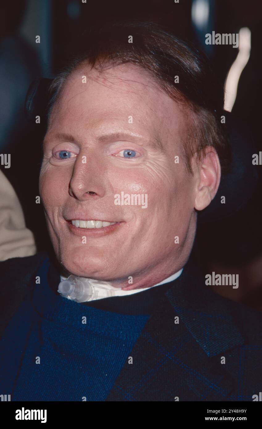Christopher Reeve attends the 5th Annual Riverkeeper benefit at Pier ...