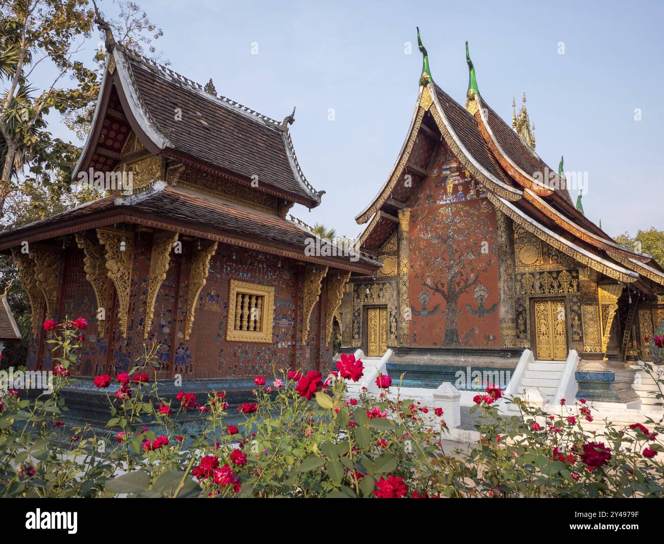 Xieng Tree LAOS, LUANG PRABANG, VAT XIENG THONG TEMPLE, ITS SIM WITH A TREE OF ...