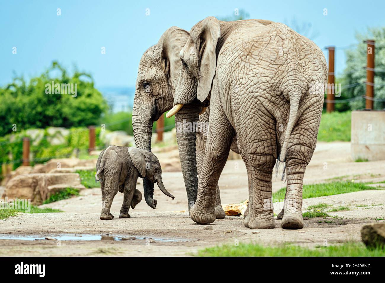 Zoopark Thürings Zoopark Erfurt | Zoo Erfurt » Aktuelle News, Infos ...