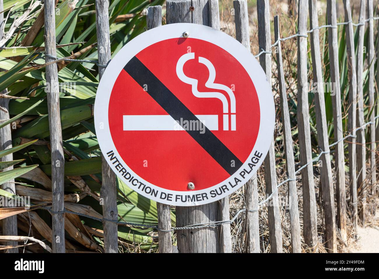 France smoking cigarette hi-res stock photography and images - Page 3