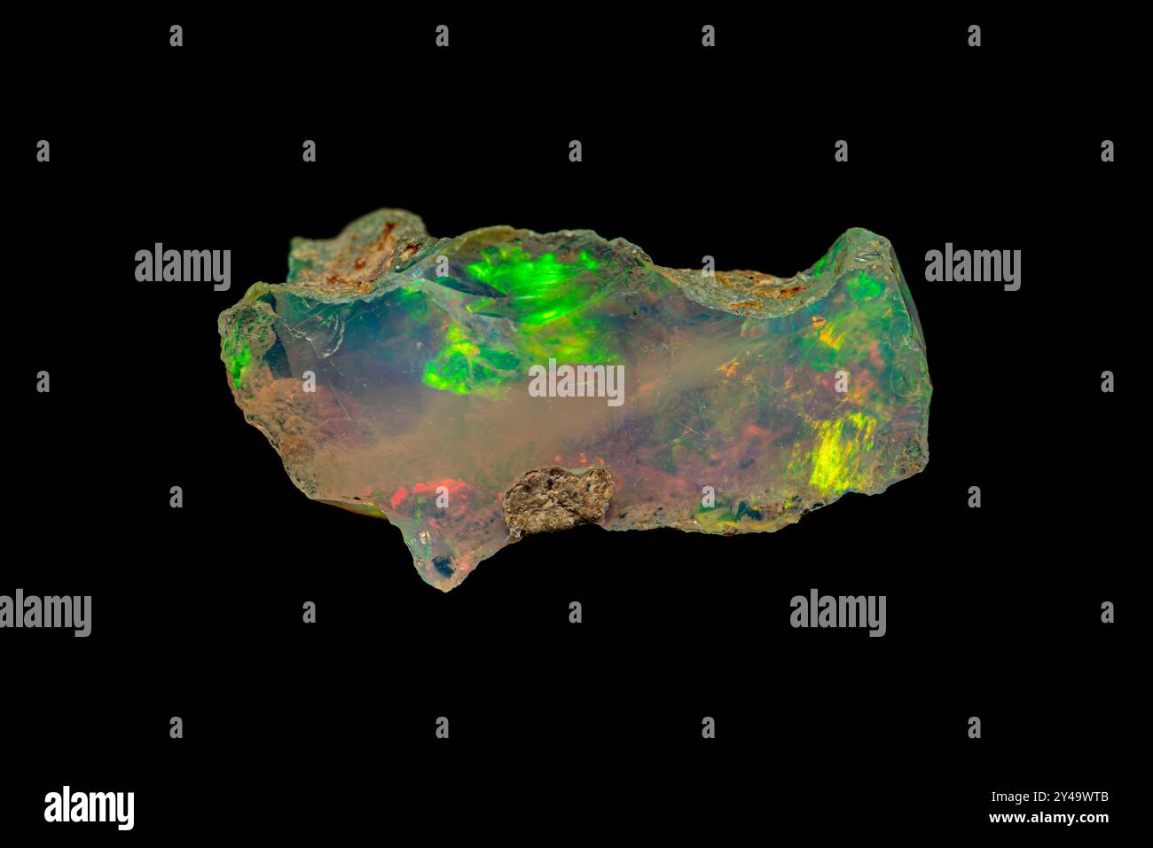 Closeup natural rough precious Opal gemstone show the opalescence phenomenon on dark background Stock Photo