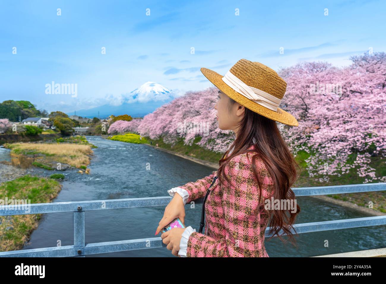 Fuji japan flowers hi-res stock photography and images - Alamy