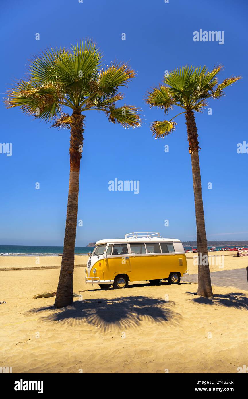Vintage yellow Volkswagen camper van parked between palm trees on a ...