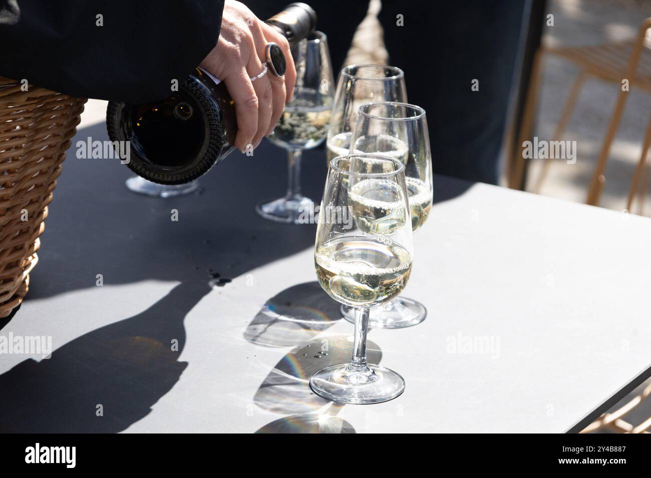 pouring white wine into glasses for wine tasting at a Kent vineyard in the sun, September 2024 Stock Photo
