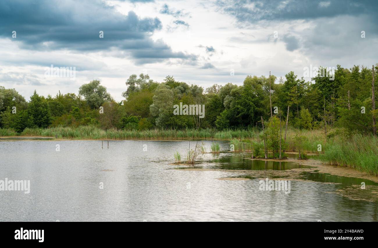 Biodiversity Haff Reimech, wetland and nature reserve in Luxembourg ...