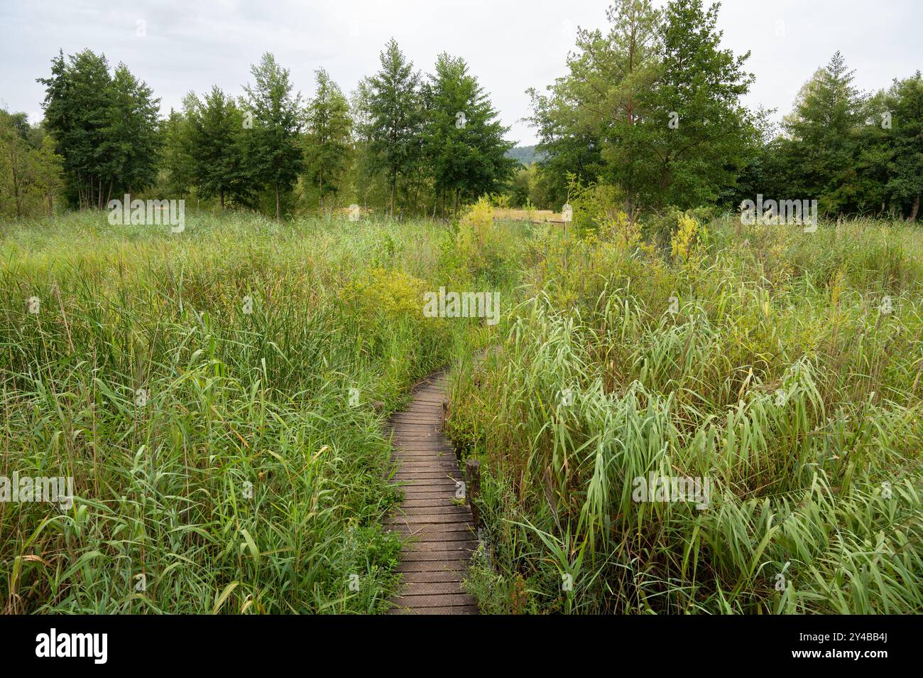 Biodiversity Haff Reimech, wetland and nature reserve in Luxembourg ...