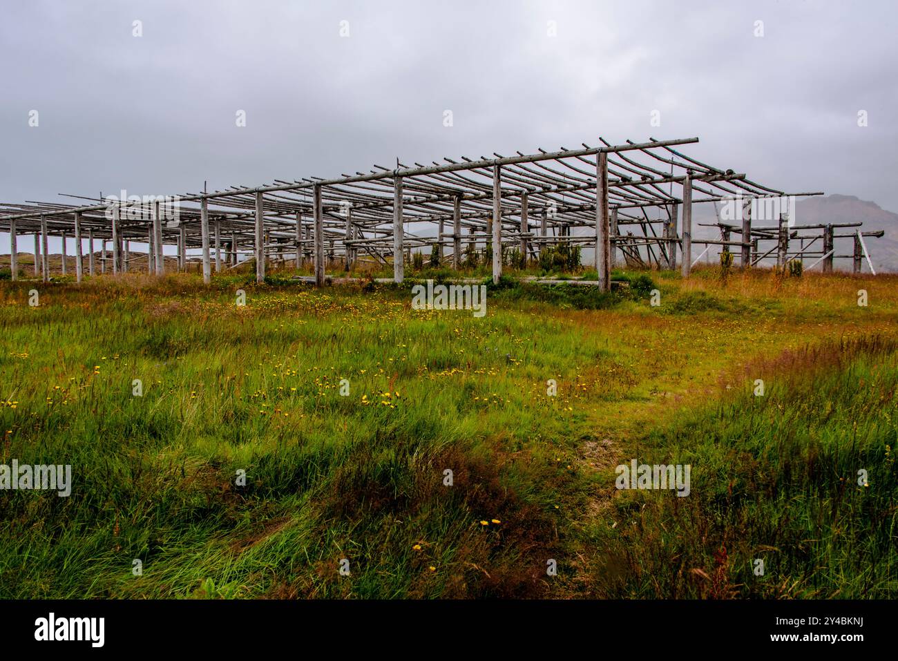 Wooden fish drying rack in fjord hi-res stock photography and images ...
