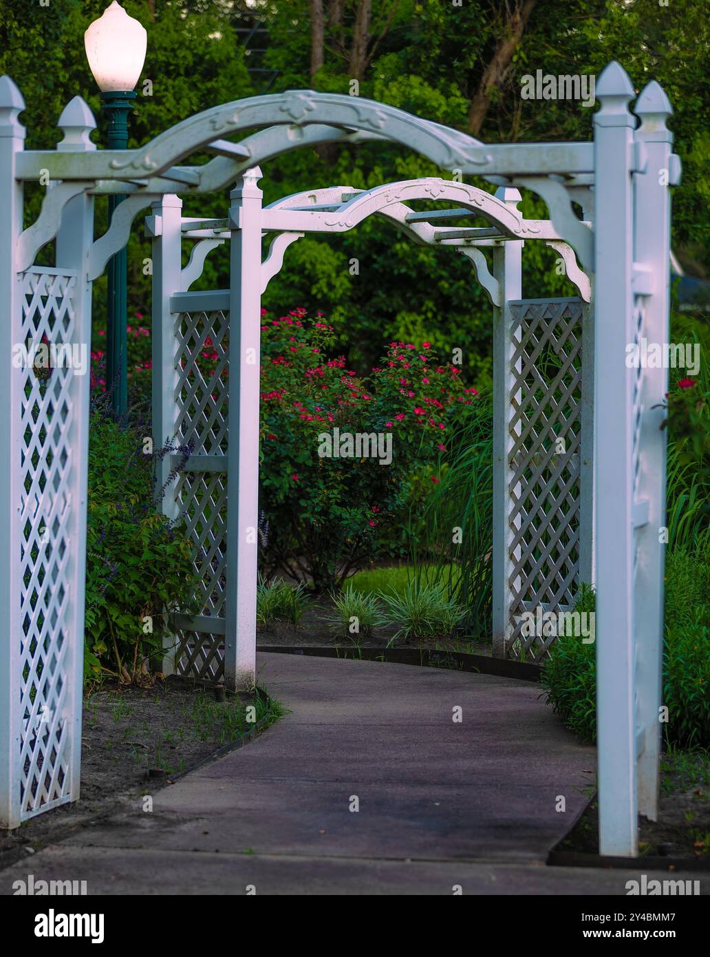 Footpath in a garden traveling through small white arbors Stock Photo ...