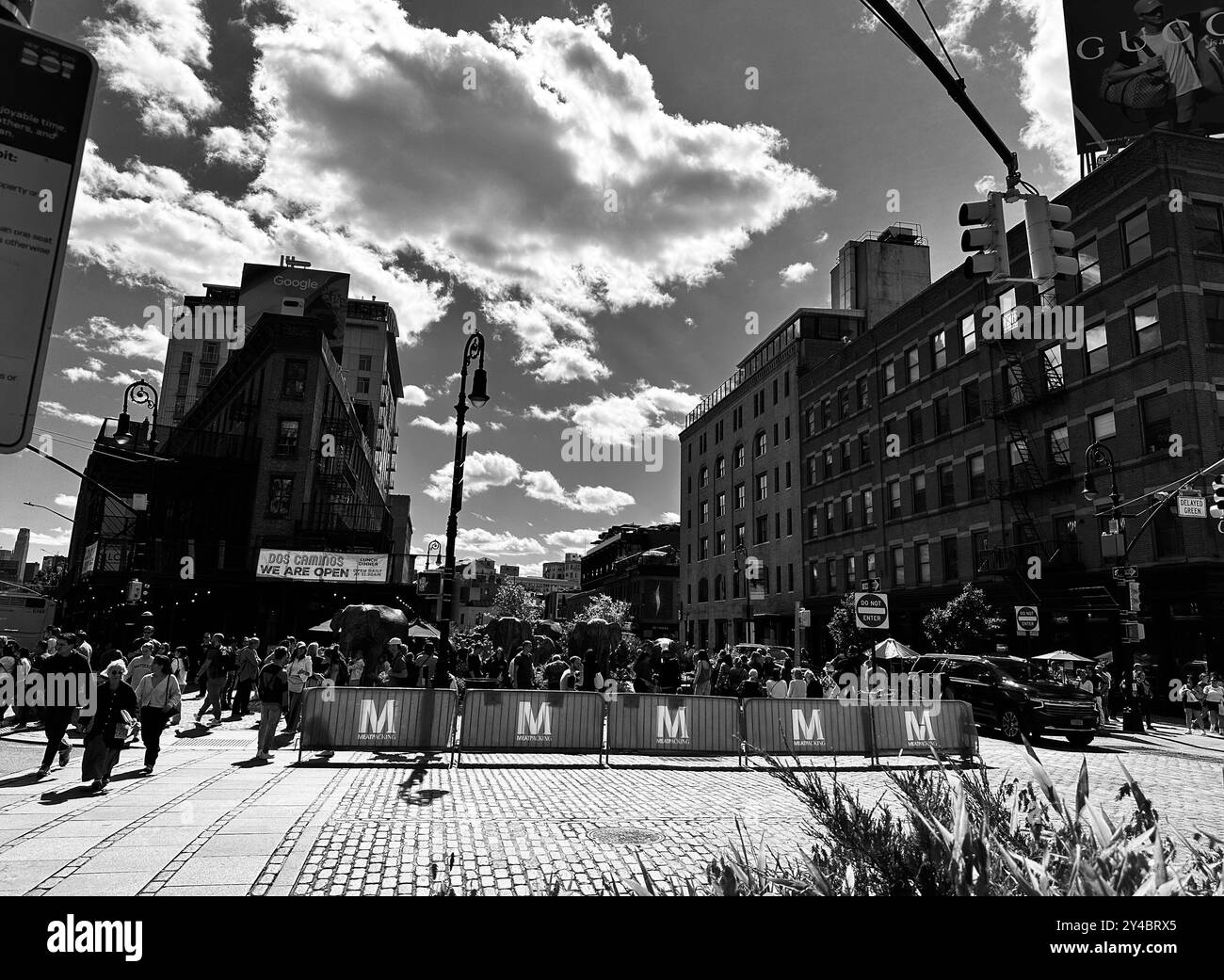 9 8 24 New York New York United States The Great Elephant Migration 9-8-24-new-york-new-york-united-states-the-great-elephant-migration